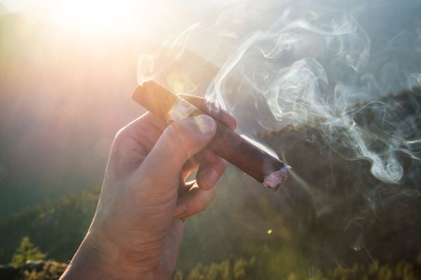 Connecticut Broadleaf Grows on Just 3,056 Acres, and Maduro Prices Show It